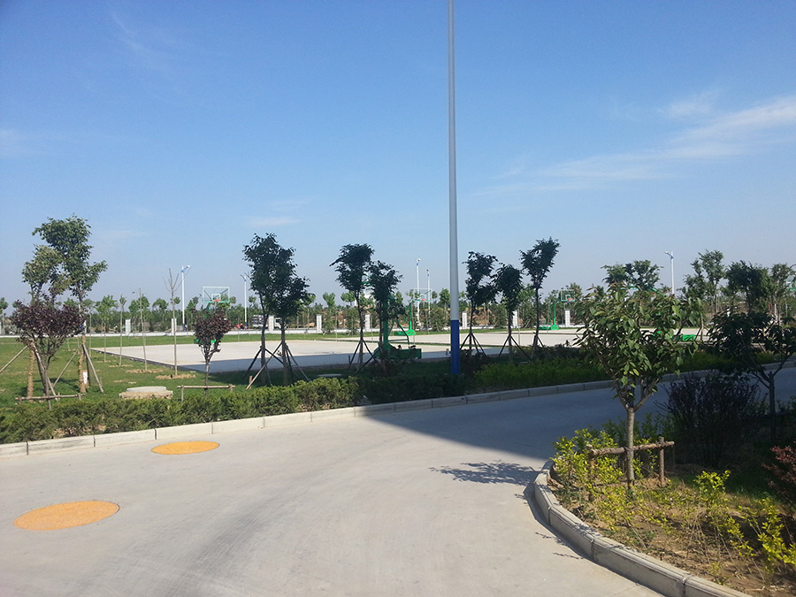 2025新澳门免费原料网