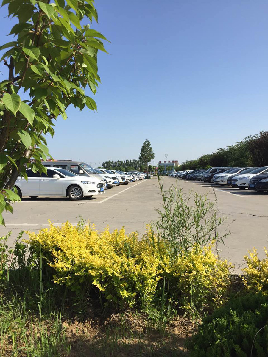 2025新澳门免费原料网